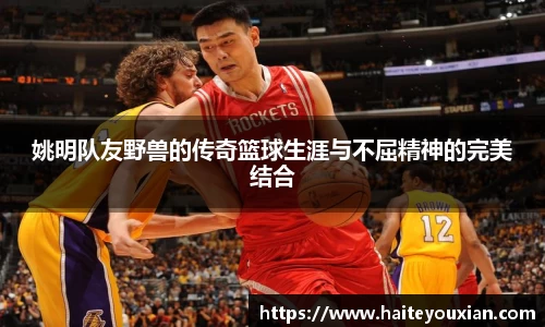 姚明队友野兽的传奇篮球生涯与不屈精神的完美结合